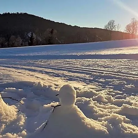 Post Ξενοδοχείο Ramsau am Dachstein
